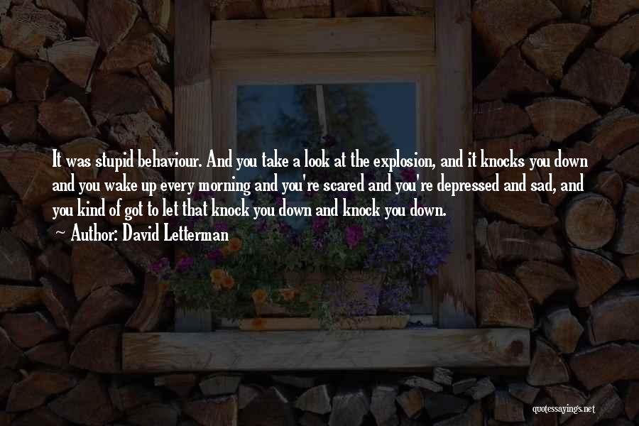 David Letterman Quotes: It Was Stupid Behaviour. And You Take A Look At The Explosion, And It Knocks You Down And You Wake