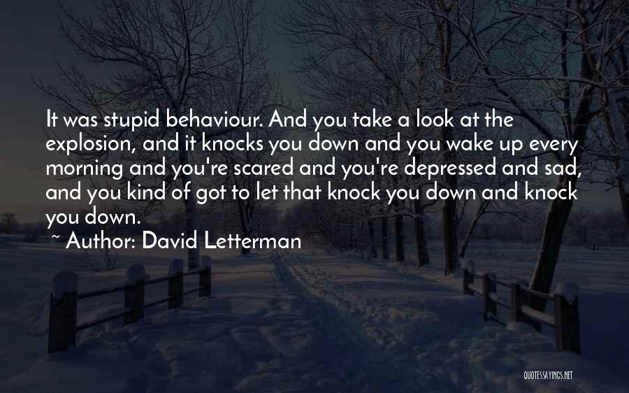 David Letterman Quotes: It Was Stupid Behaviour. And You Take A Look At The Explosion, And It Knocks You Down And You Wake