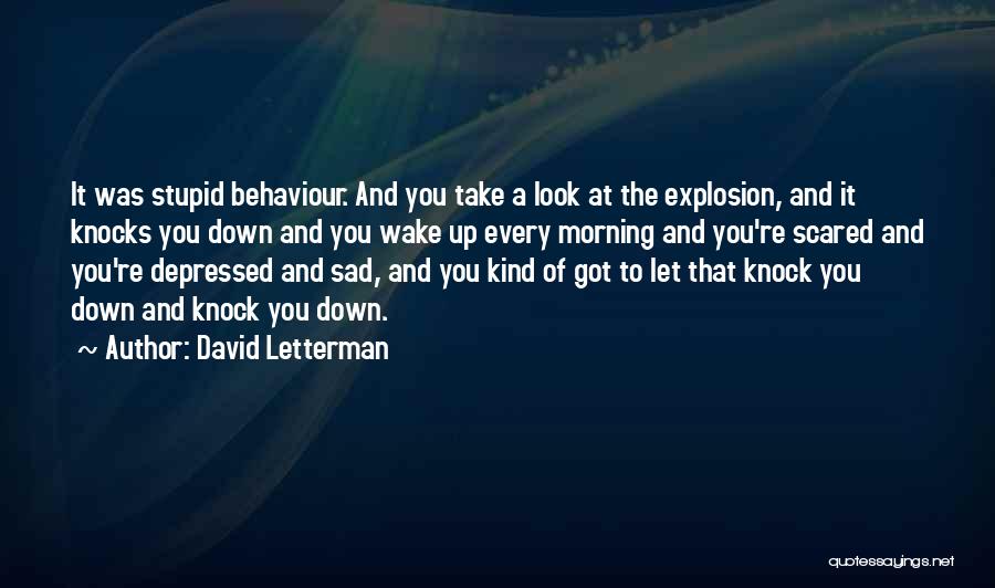 David Letterman Quotes: It Was Stupid Behaviour. And You Take A Look At The Explosion, And It Knocks You Down And You Wake