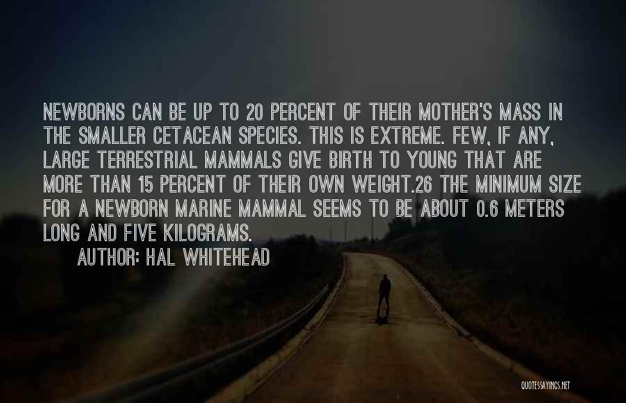 Hal Whitehead Quotes: Newborns Can Be Up To 20 Percent Of Their Mother's Mass In The Smaller Cetacean Species. This Is Extreme. Few,