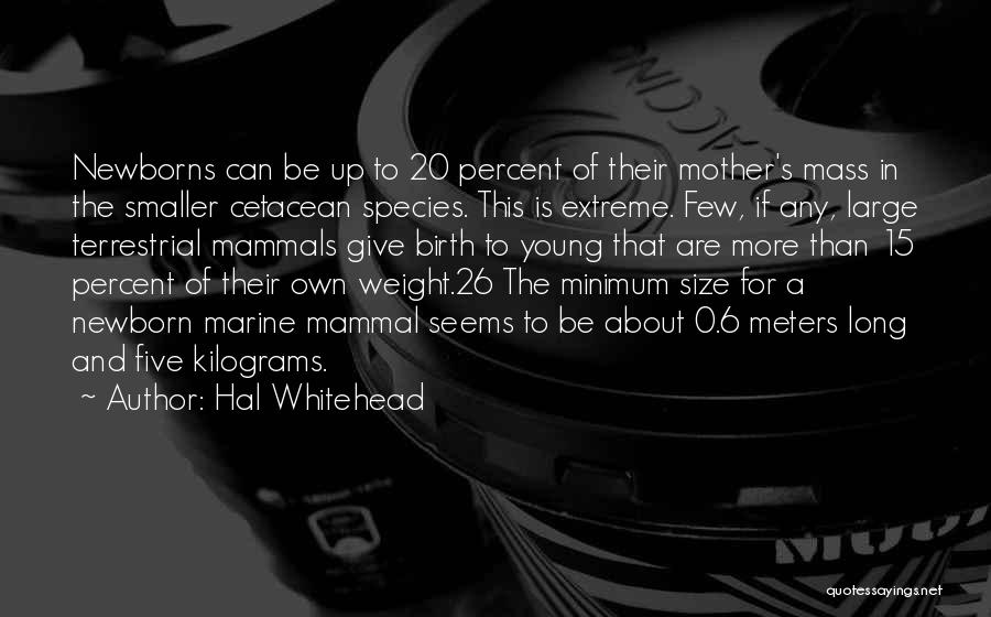 Hal Whitehead Quotes: Newborns Can Be Up To 20 Percent Of Their Mother's Mass In The Smaller Cetacean Species. This Is Extreme. Few,