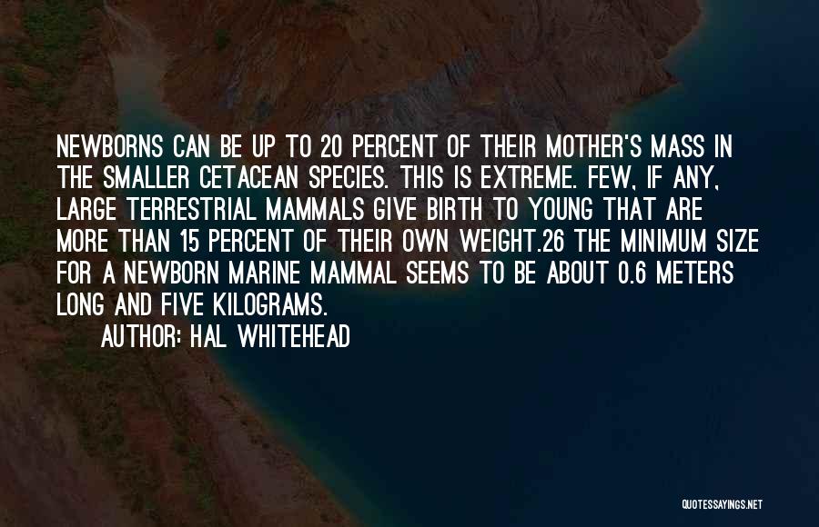 Hal Whitehead Quotes: Newborns Can Be Up To 20 Percent Of Their Mother's Mass In The Smaller Cetacean Species. This Is Extreme. Few,