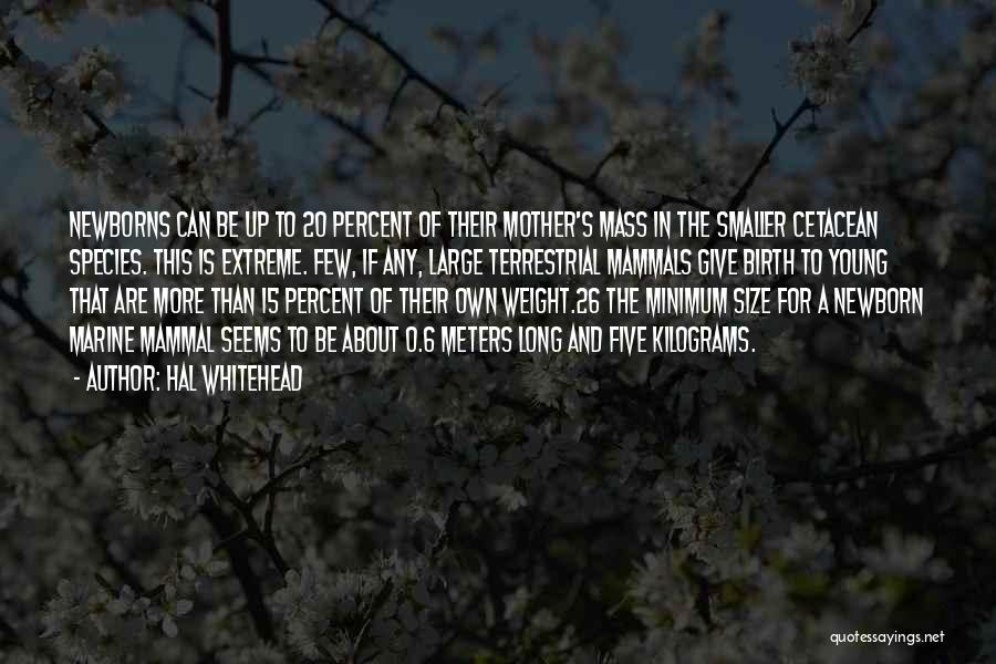 Hal Whitehead Quotes: Newborns Can Be Up To 20 Percent Of Their Mother's Mass In The Smaller Cetacean Species. This Is Extreme. Few,