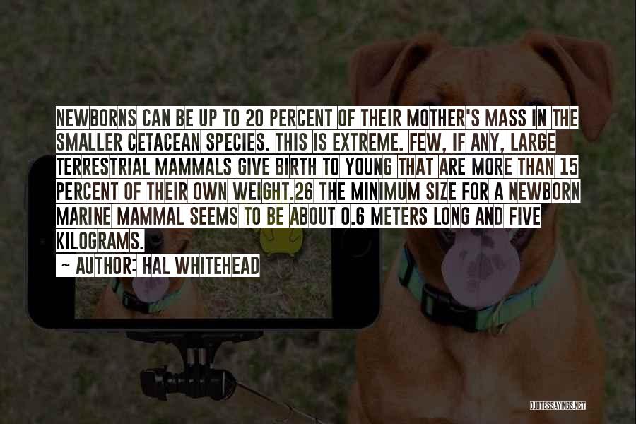 Hal Whitehead Quotes: Newborns Can Be Up To 20 Percent Of Their Mother's Mass In The Smaller Cetacean Species. This Is Extreme. Few,