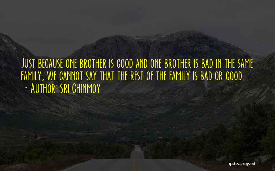 Sri Chinmoy Quotes: Just Because One Brother Is Good And One Brother Is Bad In The Same Family, We Cannot Say That The