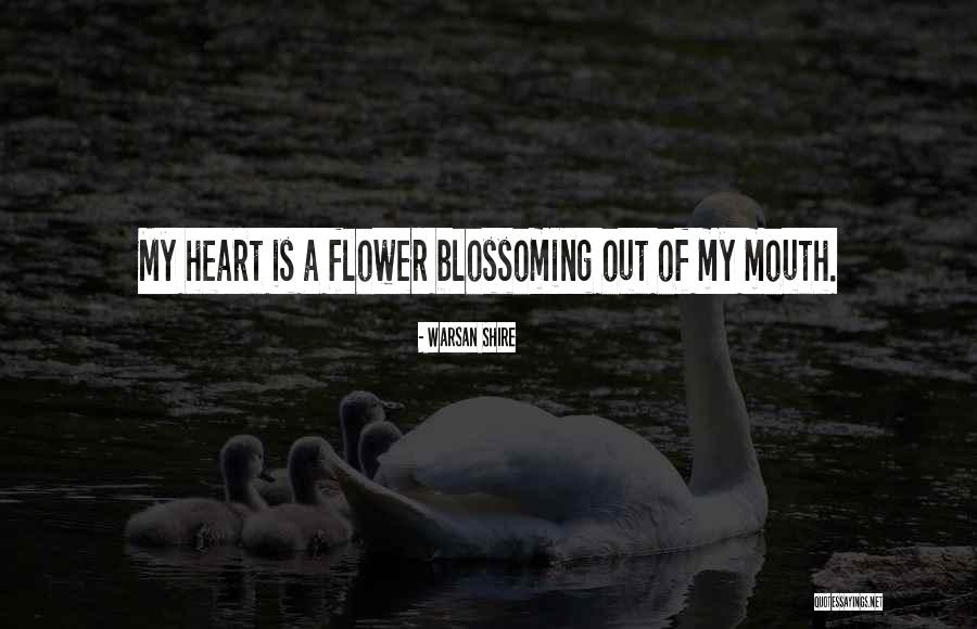 6120r Quotes By Warsan Shire