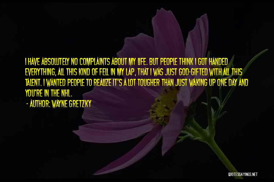 Wayne Gretzky Quotes: I Have Absolutely No Complaints About My Life. But People Think I Got Handed Everything, All This Kind Of Fell