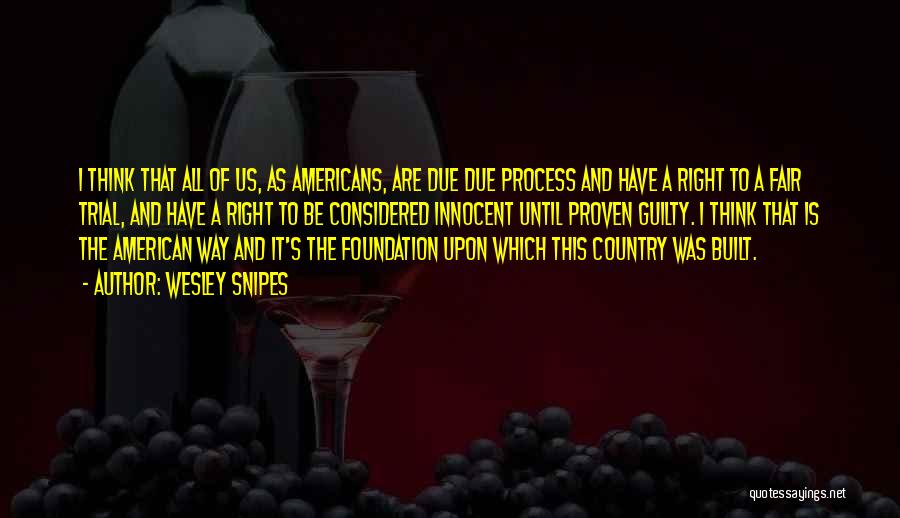 Wesley Snipes Quotes: I Think That All Of Us, As Americans, Are Due Due Process And Have A Right To A Fair Trial,