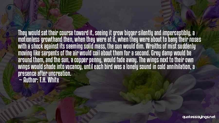 T.H. White Quotes: They Would Set Their Course Toward It, Seeing It Grow Bigger Silently And Imperceptibly, A Motionless Growthand Then, When They