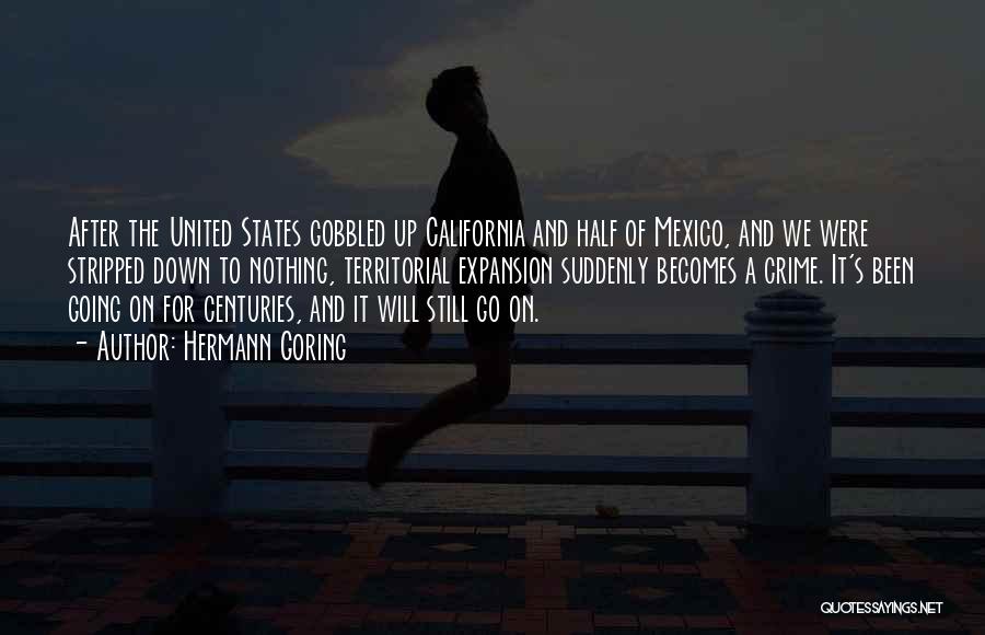 Hermann Goring Quotes: After The United States Gobbled Up California And Half Of Mexico, And We Were Stripped Down To Nothing, Territorial Expansion