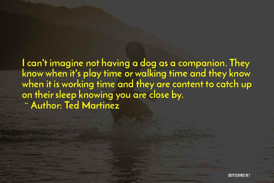 Ted Martinez Quotes: I Can't Imagine Not Having A Dog As A Companion. They Know When It's Play Time Or Walking Time And