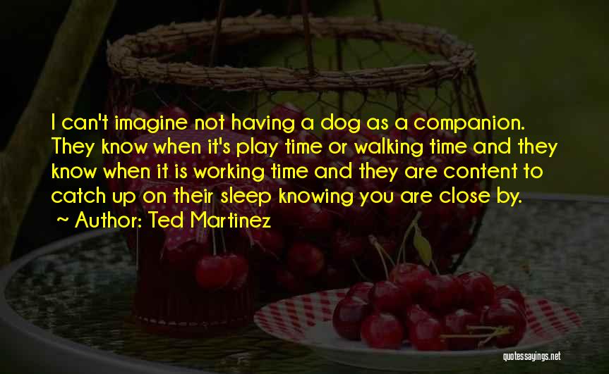 Ted Martinez Quotes: I Can't Imagine Not Having A Dog As A Companion. They Know When It's Play Time Or Walking Time And
