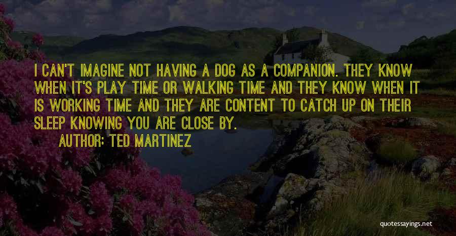 Ted Martinez Quotes: I Can't Imagine Not Having A Dog As A Companion. They Know When It's Play Time Or Walking Time And