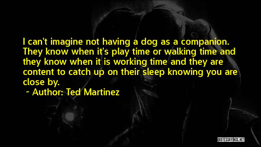 Ted Martinez Quotes: I Can't Imagine Not Having A Dog As A Companion. They Know When It's Play Time Or Walking Time And