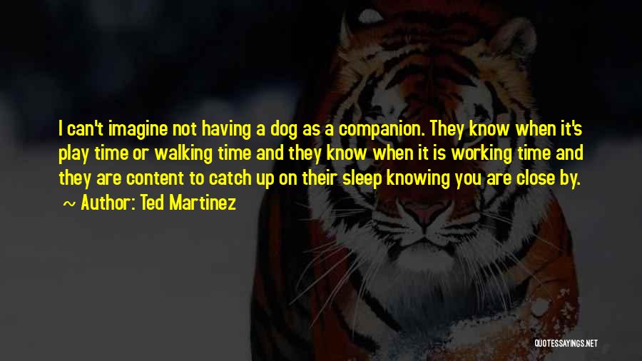 Ted Martinez Quotes: I Can't Imagine Not Having A Dog As A Companion. They Know When It's Play Time Or Walking Time And