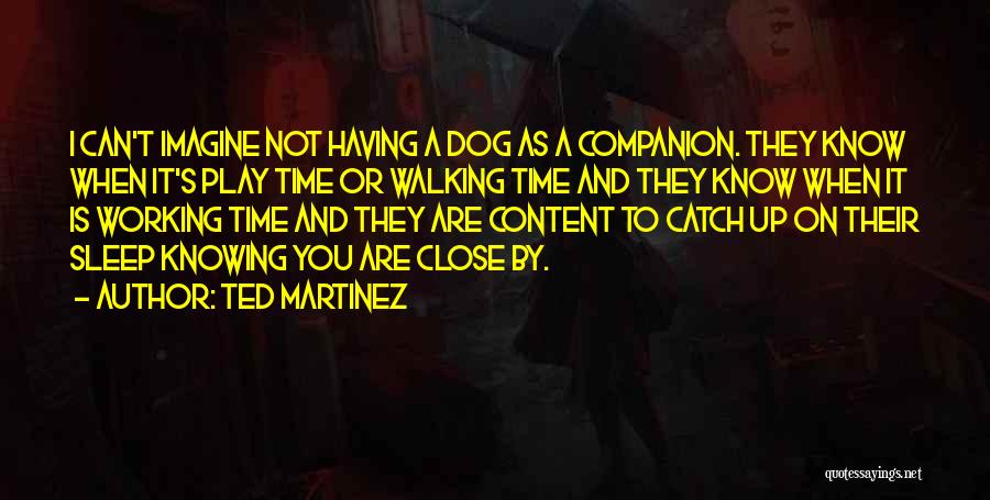 Ted Martinez Quotes: I Can't Imagine Not Having A Dog As A Companion. They Know When It's Play Time Or Walking Time And