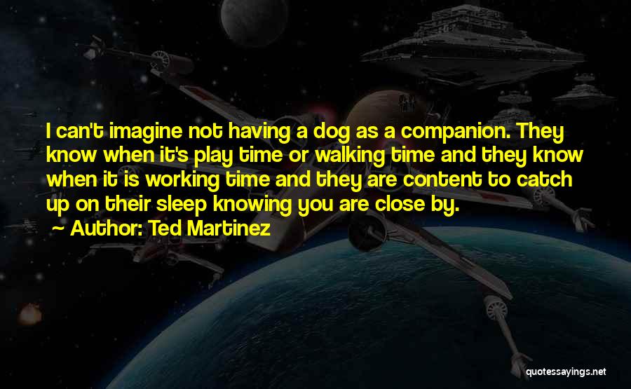 Ted Martinez Quotes: I Can't Imagine Not Having A Dog As A Companion. They Know When It's Play Time Or Walking Time And