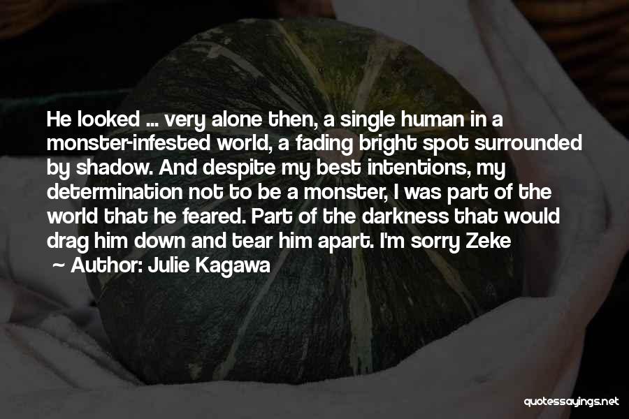 Julie Kagawa Quotes: He Looked ... Very Alone Then, A Single Human In A Monster-infested World, A Fading Bright Spot Surrounded By Shadow.