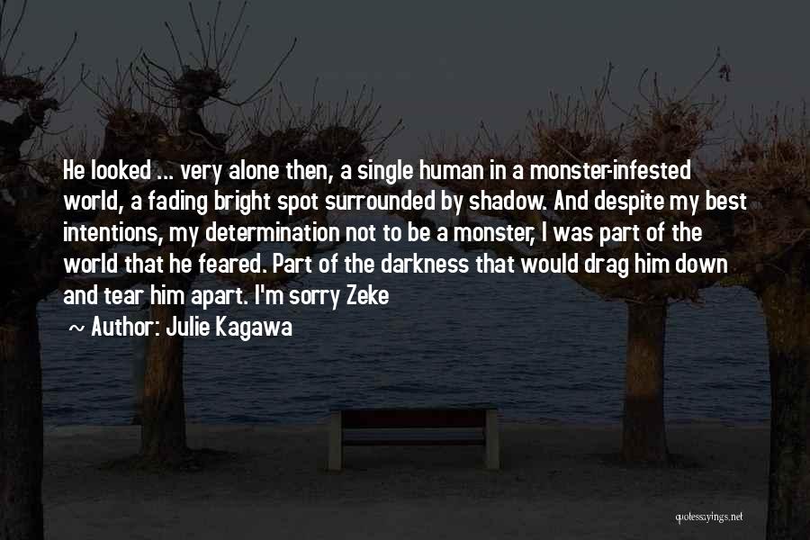 Julie Kagawa Quotes: He Looked ... Very Alone Then, A Single Human In A Monster-infested World, A Fading Bright Spot Surrounded By Shadow.