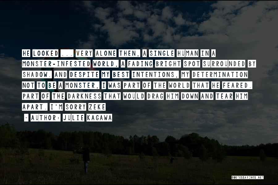 Julie Kagawa Quotes: He Looked ... Very Alone Then, A Single Human In A Monster-infested World, A Fading Bright Spot Surrounded By Shadow.