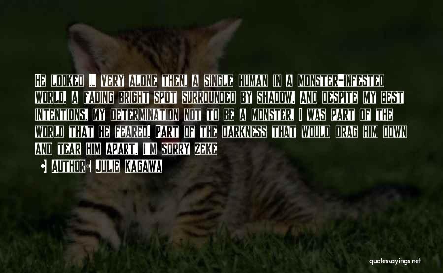 Julie Kagawa Quotes: He Looked ... Very Alone Then, A Single Human In A Monster-infested World, A Fading Bright Spot Surrounded By Shadow.