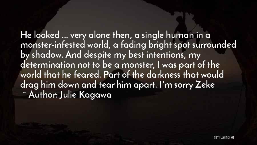 Julie Kagawa Quotes: He Looked ... Very Alone Then, A Single Human In A Monster-infested World, A Fading Bright Spot Surrounded By Shadow.