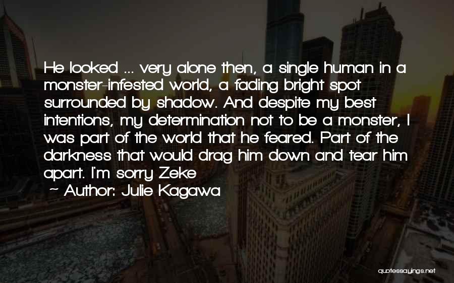 Julie Kagawa Quotes: He Looked ... Very Alone Then, A Single Human In A Monster-infested World, A Fading Bright Spot Surrounded By Shadow.