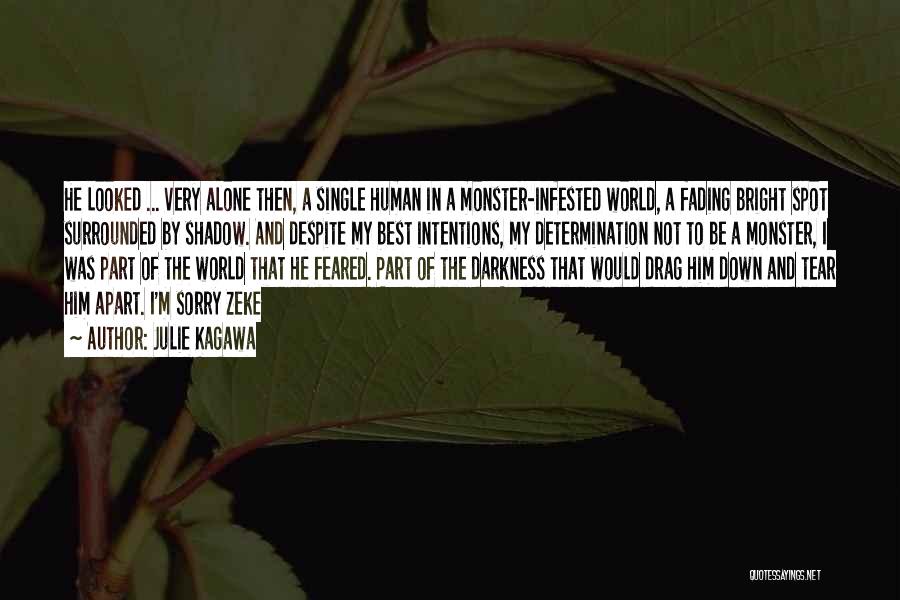 Julie Kagawa Quotes: He Looked ... Very Alone Then, A Single Human In A Monster-infested World, A Fading Bright Spot Surrounded By Shadow.