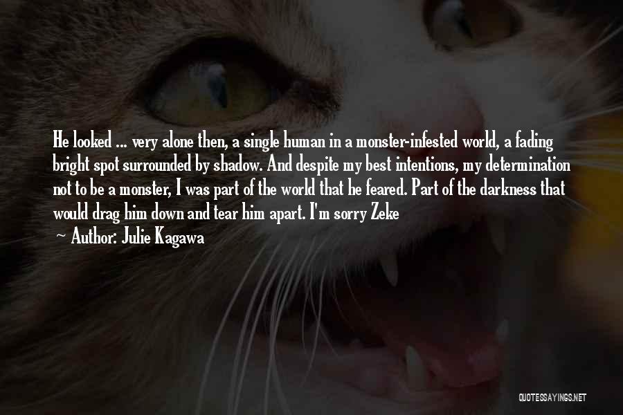 Julie Kagawa Quotes: He Looked ... Very Alone Then, A Single Human In A Monster-infested World, A Fading Bright Spot Surrounded By Shadow.