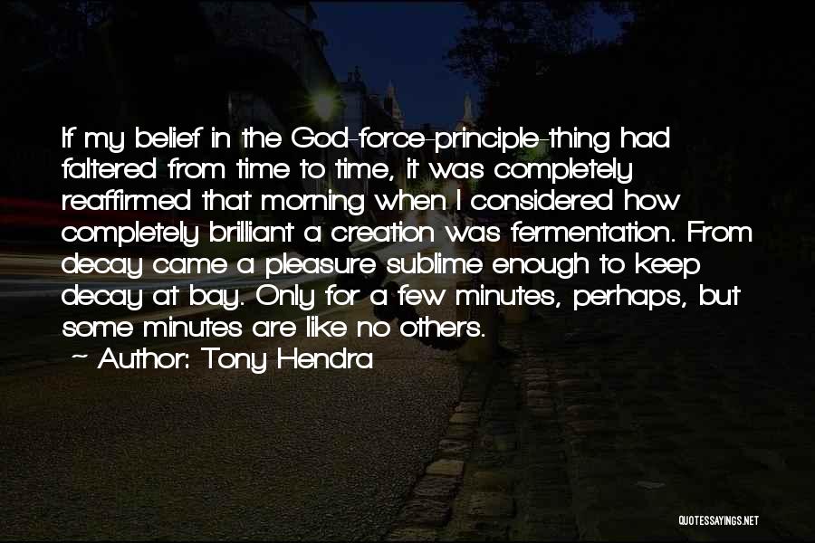 Tony Hendra Quotes: If My Belief In The God-force-principle-thing Had Faltered From Time To Time, It Was Completely Reaffirmed That Morning When I