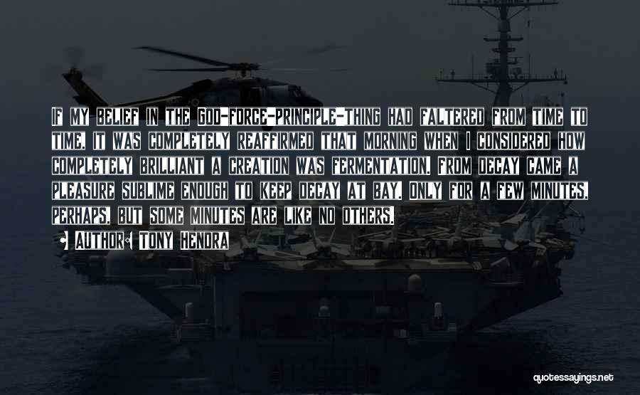 Tony Hendra Quotes: If My Belief In The God-force-principle-thing Had Faltered From Time To Time, It Was Completely Reaffirmed That Morning When I