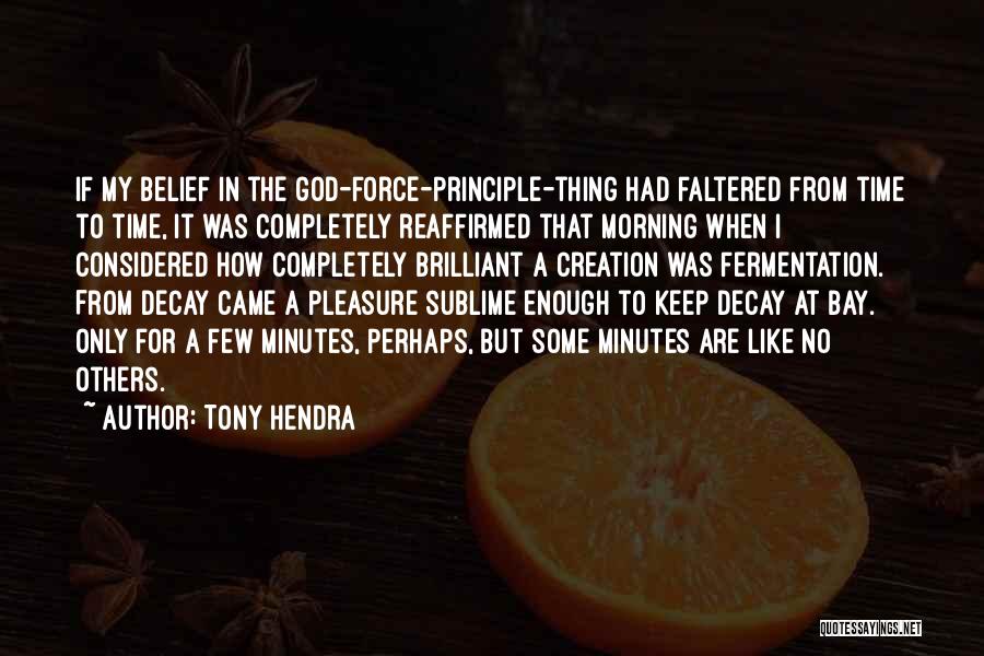 Tony Hendra Quotes: If My Belief In The God-force-principle-thing Had Faltered From Time To Time, It Was Completely Reaffirmed That Morning When I