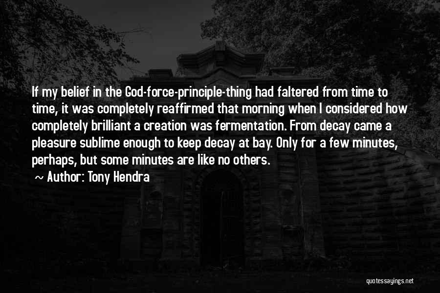 Tony Hendra Quotes: If My Belief In The God-force-principle-thing Had Faltered From Time To Time, It Was Completely Reaffirmed That Morning When I