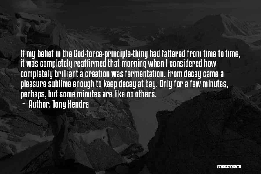 Tony Hendra Quotes: If My Belief In The God-force-principle-thing Had Faltered From Time To Time, It Was Completely Reaffirmed That Morning When I