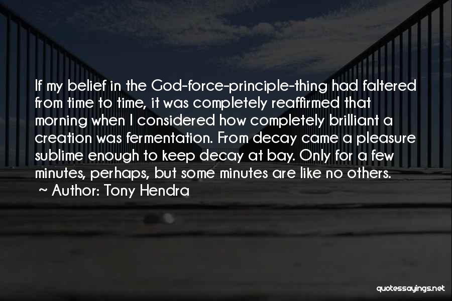 Tony Hendra Quotes: If My Belief In The God-force-principle-thing Had Faltered From Time To Time, It Was Completely Reaffirmed That Morning When I