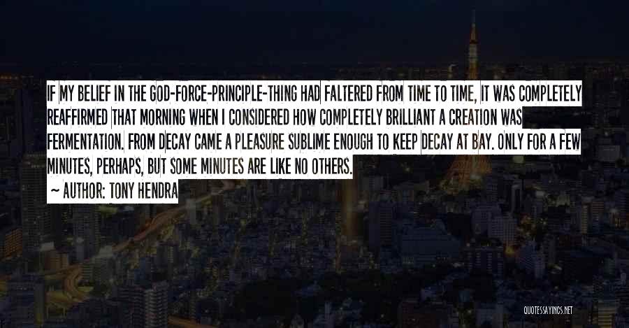 Tony Hendra Quotes: If My Belief In The God-force-principle-thing Had Faltered From Time To Time, It Was Completely Reaffirmed That Morning When I