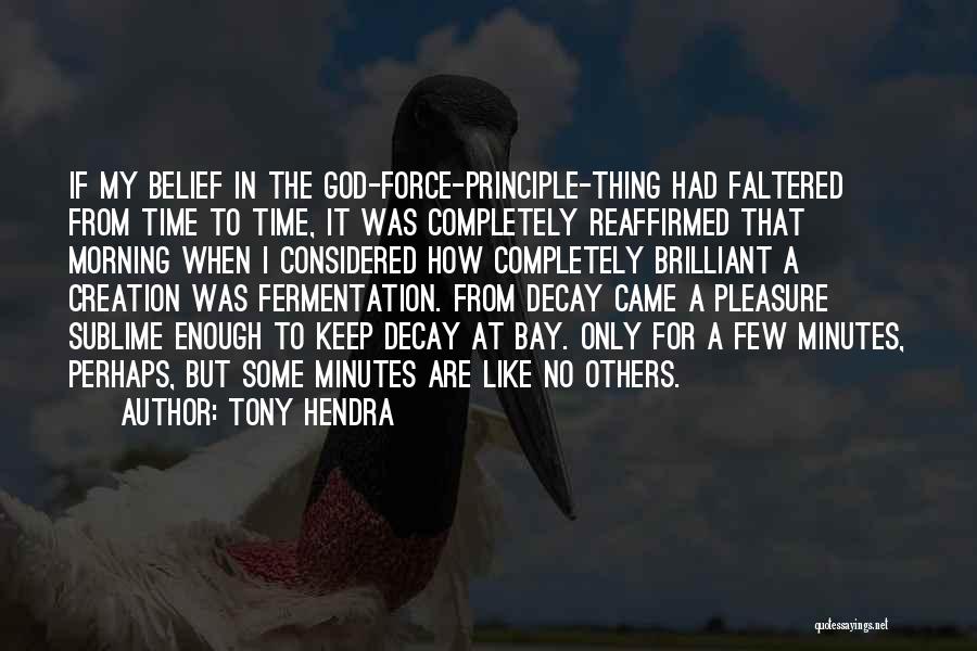 Tony Hendra Quotes: If My Belief In The God-force-principle-thing Had Faltered From Time To Time, It Was Completely Reaffirmed That Morning When I