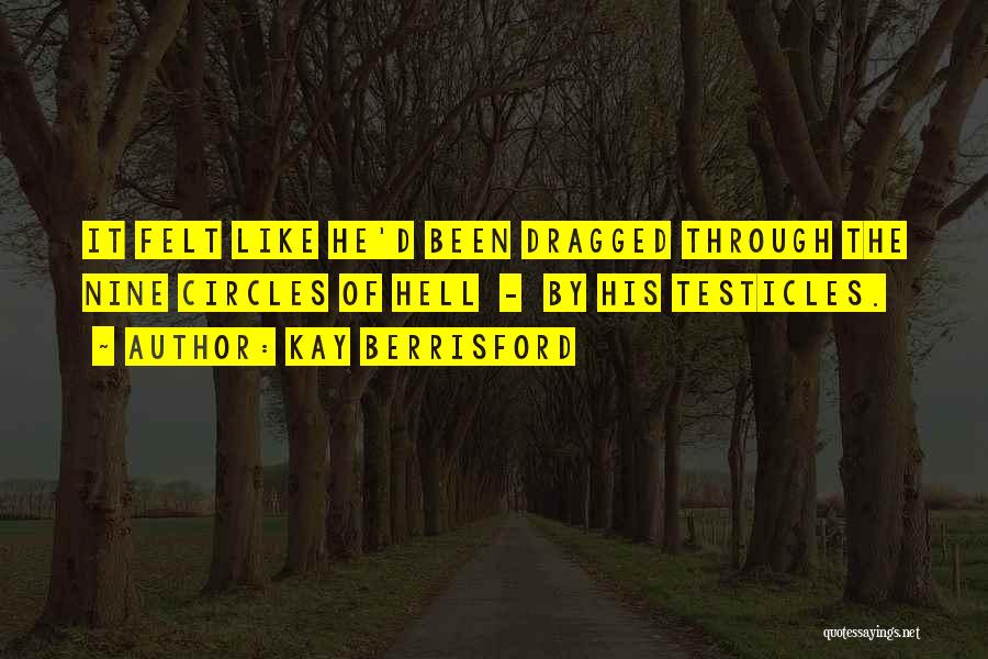 Kay Berrisford Quotes: It Felt Like He'd Been Dragged Through The Nine Circles Of Hell - By His Testicles.