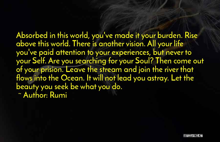 Rumi Quotes: Absorbed In This World, You've Made It Your Burden. Rise Above This World. There Is Another Vision. All Your Life