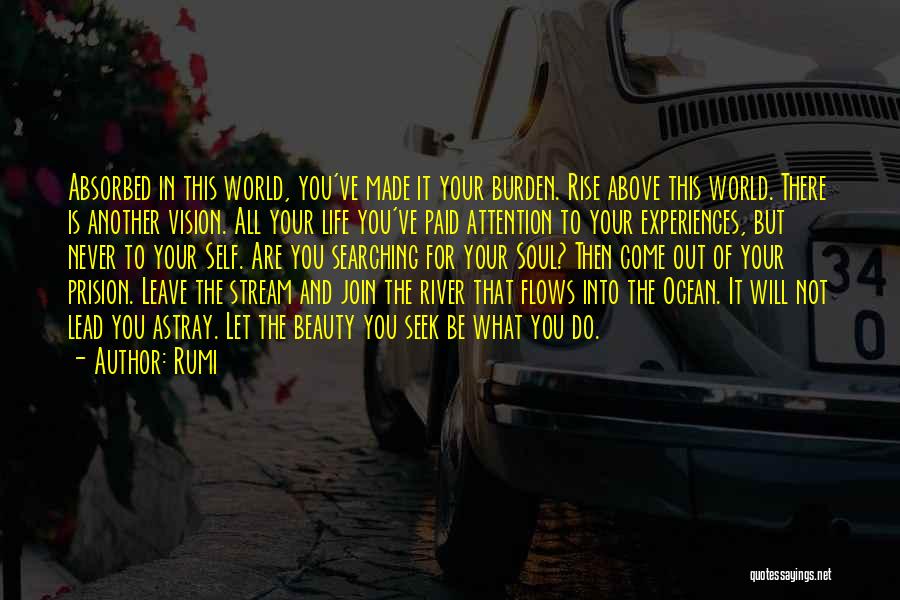 Rumi Quotes: Absorbed In This World, You've Made It Your Burden. Rise Above This World. There Is Another Vision. All Your Life