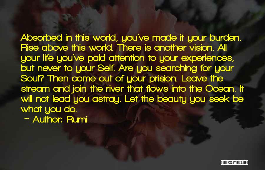 Rumi Quotes: Absorbed In This World, You've Made It Your Burden. Rise Above This World. There Is Another Vision. All Your Life