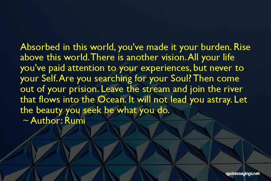 Rumi Quotes: Absorbed In This World, You've Made It Your Burden. Rise Above This World. There Is Another Vision. All Your Life