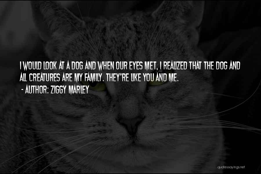 Ziggy Marley Quotes: I Would Look At A Dog And When Our Eyes Met, I Realized That The Dog And All Creatures Are