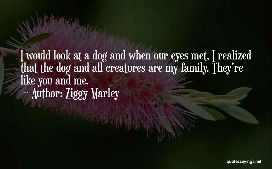 Ziggy Marley Quotes: I Would Look At A Dog And When Our Eyes Met, I Realized That The Dog And All Creatures Are