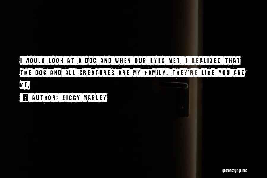 Ziggy Marley Quotes: I Would Look At A Dog And When Our Eyes Met, I Realized That The Dog And All Creatures Are