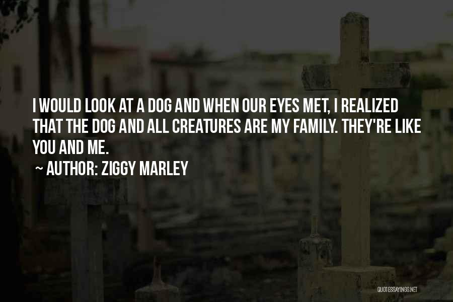 Ziggy Marley Quotes: I Would Look At A Dog And When Our Eyes Met, I Realized That The Dog And All Creatures Are