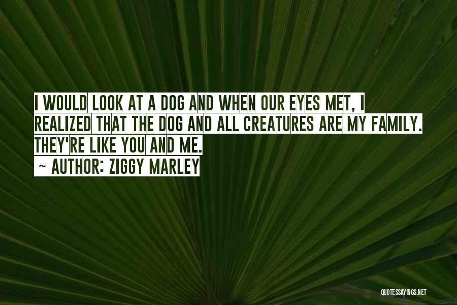 Ziggy Marley Quotes: I Would Look At A Dog And When Our Eyes Met, I Realized That The Dog And All Creatures Are