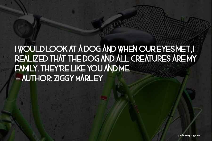 Ziggy Marley Quotes: I Would Look At A Dog And When Our Eyes Met, I Realized That The Dog And All Creatures Are