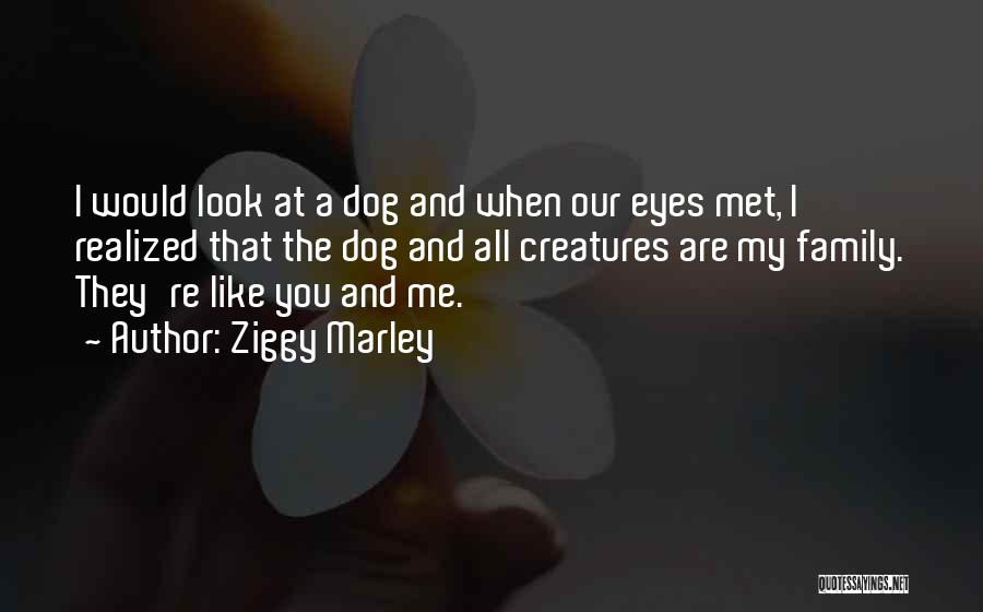 Ziggy Marley Quotes: I Would Look At A Dog And When Our Eyes Met, I Realized That The Dog And All Creatures Are