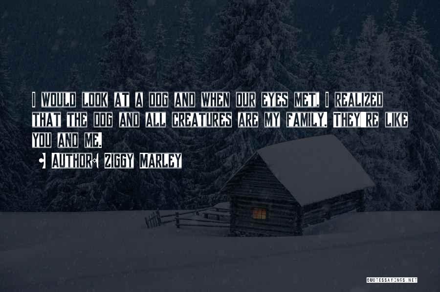 Ziggy Marley Quotes: I Would Look At A Dog And When Our Eyes Met, I Realized That The Dog And All Creatures Are